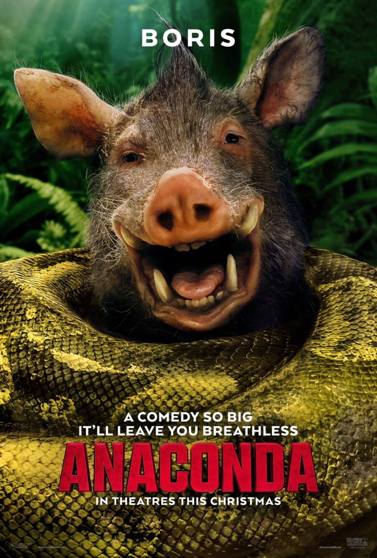 Anaconda — Boris